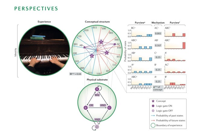 nrn.2016.44_IIT - From Consciousness to Physical Substrate