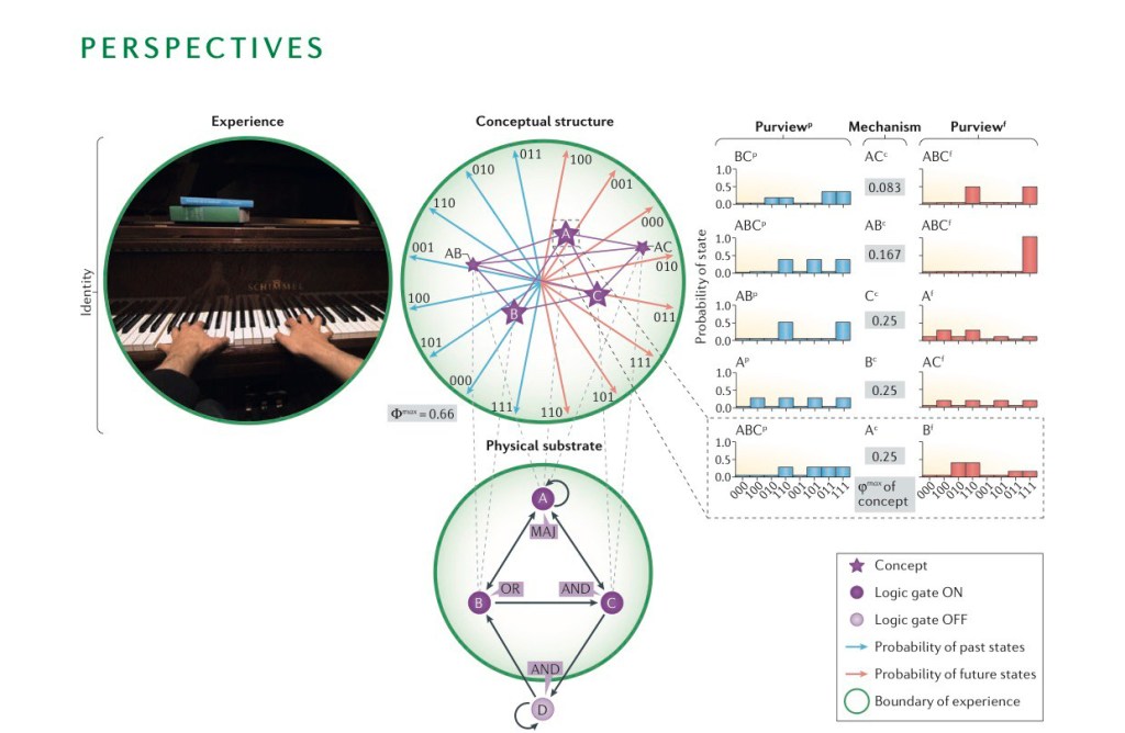 nrn.2016.44_IIT - From Consciousness to Physical Substrate